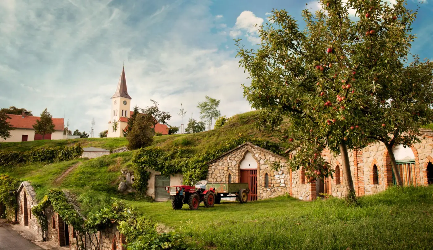 Vinice kolem obce Vrbice na jižní Moravě